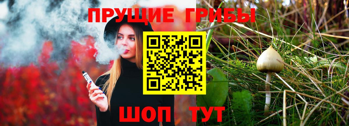 Псилоцибиновые грибы прущие грибы  Вход с VPN  Новошахтинск 