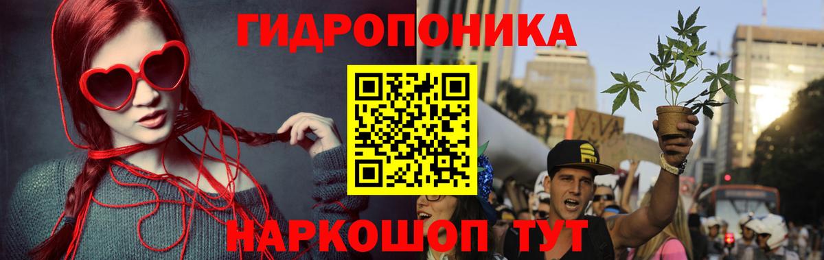 Шишки марихуана семена Новошахтинск